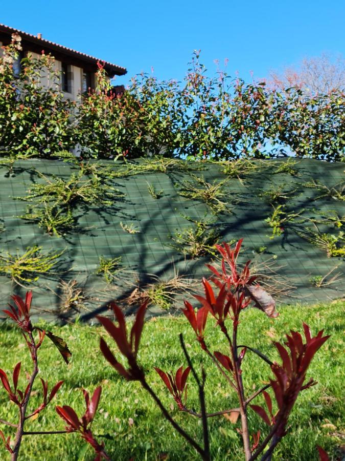 Complejo Rural El Cerradon ξενώνας Alceda Εξωτερικό φωτογραφία